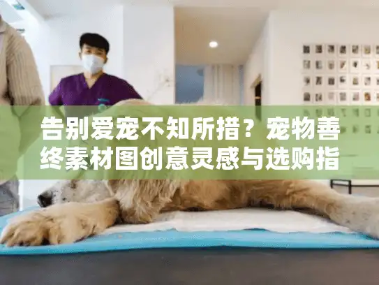 告别爱宠不知所措？宠物善终素材图创意灵感与选购指南