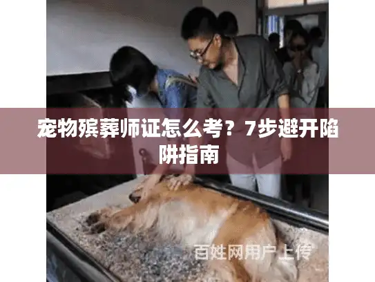 宠物殡葬师证怎么考？7步避开陷阱指南