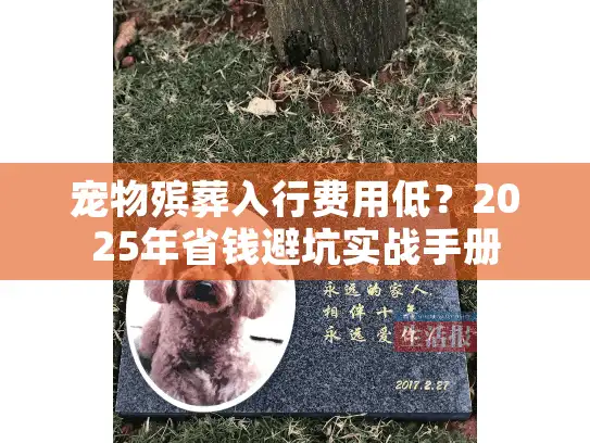 宠物殡葬入行费用低？2025年省钱避坑实战手册