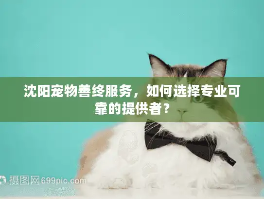 沈阳宠物善终服务，如何选择专业可靠的提供者？