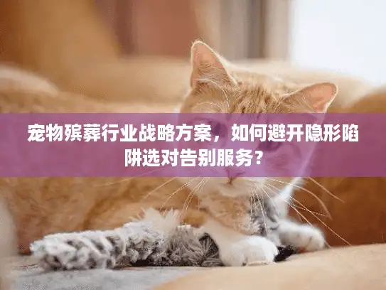 宠物殡葬行业战略方案，如何避开隐形陷阱选对告别服务？