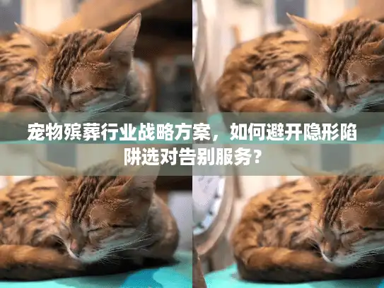 宠物殡葬行业战略方案，如何避开隐形陷阱选对告别服务？