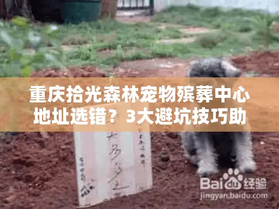 重庆拾光森林宠物殡葬中心地址选错？3大避坑技巧助你安心告别