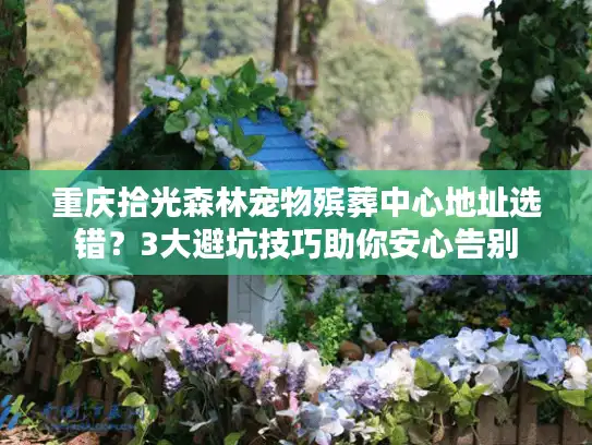 重庆拾光森林宠物殡葬中心地址选错？3大避坑技巧助你安心告别
