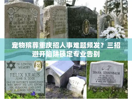 宠物殡葬重庆招人事难题频发？三招避开陷阱锁定专业告别