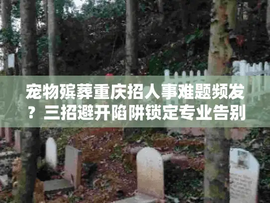 宠物殡葬重庆招人事难题频发？三招避开陷阱锁定专业告别