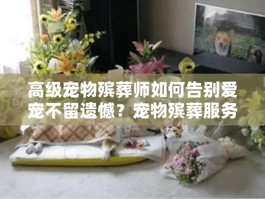 高级宠物殡葬师如何告别爱宠不留遗憾？宠物殡葬服务选择中的隐藏陷阱解析