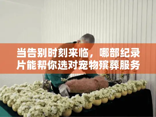 当告别时刻来临，哪部纪录片能帮你选对宠物殡葬服务？