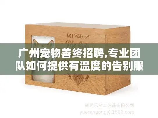 广州宠物善终招聘,专业团队如何提供有温度的告别服务