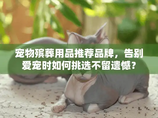 宠物殡葬用品推荐品牌，告别爱宠时如何挑选不留遗憾？