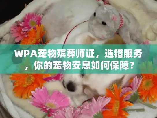 WPA宠物殡葬师证，选错服务，你的宠物安息如何保障？