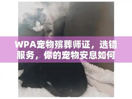 WPA宠物殡葬师证，选错服务，你的宠物安息如何保障？