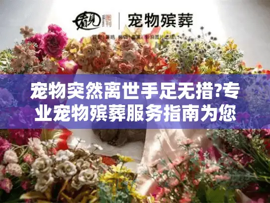宠物突然离世手足无措?专业宠物殡葬服务指南为您全程守护
