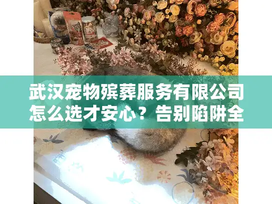 武汉宠物殡葬服务有限公司怎么选才安心？告别陷阱全攻略