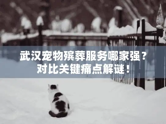 武汉宠物殡葬服务哪家强？对比关键痛点解谜！
