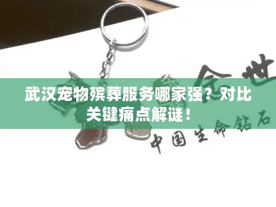 武汉宠物殡葬服务哪家强？对比关键痛点解谜！