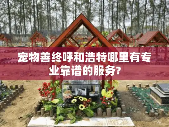 宠物善终呼和浩特哪里有专业靠谱的服务?