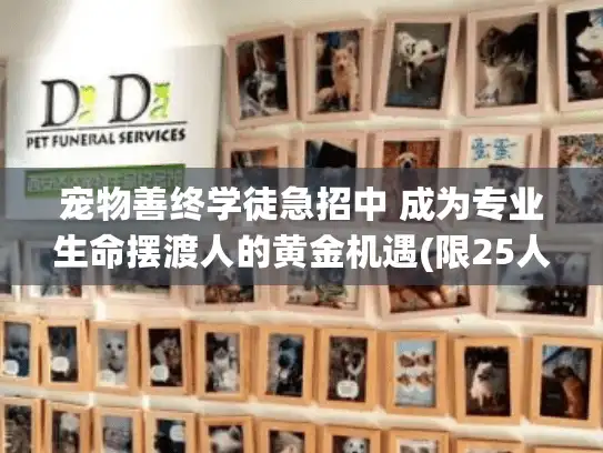 宠物善终学徒急招中 成为专业生命摆渡人的黄金机遇(限25人)