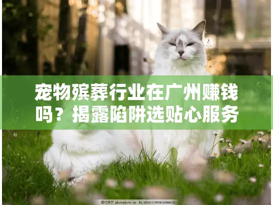 宠物殡葬行业在广州赚钱吗？揭露陷阱选贴心服务