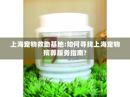 上海宠物救助基地:如何寻找上海宠物殡葬服务指南?