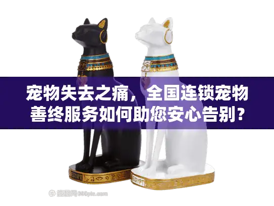 宠物失去之痛，全国连锁宠物善终服务如何助您安心告别？