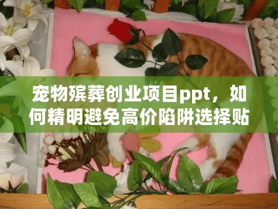 宠物殡葬创业项目ppt，如何精明避免高价陷阱选择贴心服务？