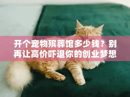 开个宠物殡葬馆多少钱？别再让高价吓退你的创业梦想！