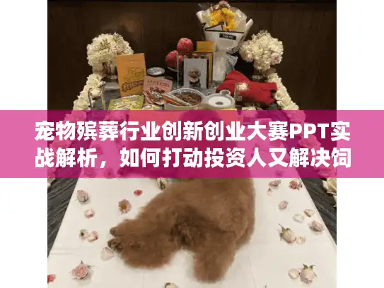 宠物殡葬行业创新创业大赛PPT实战解析，如何打动投资人又解决饲主难题？