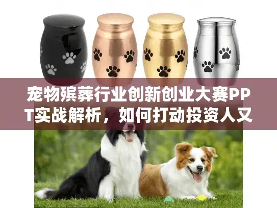 宠物殡葬行业创新创业大赛PPT实战解析，如何打动投资人又解决饲主难题？