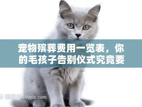 宠物殡葬费用一览表，你的毛孩子告别仪式究竟要花多少钱？