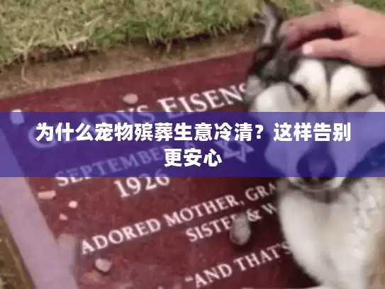 为什么宠物殡葬生意冷清？这样告别更安心
