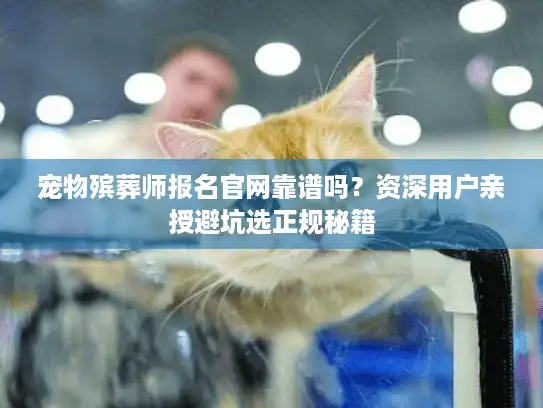 宠物殡葬师报名官网靠谱吗？资深用户亲授避坑选正规秘籍
