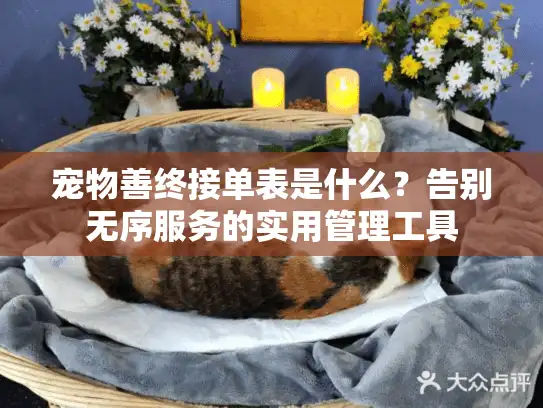 宠物善终接单表是什么？告别无序服务的实用管理工具