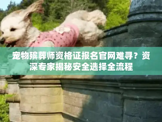宠物殡葬师资格证报名官网难寻？资深专家揭秘安全选择全流程