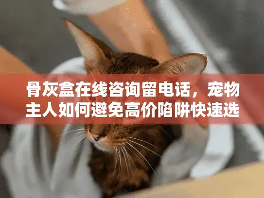 骨灰盒在线咨询留电话，宠物主人如何避免高价陷阱快速选服务？