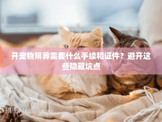 开宠物殡葬需要什么手续和证件？避开这些隐藏坑点