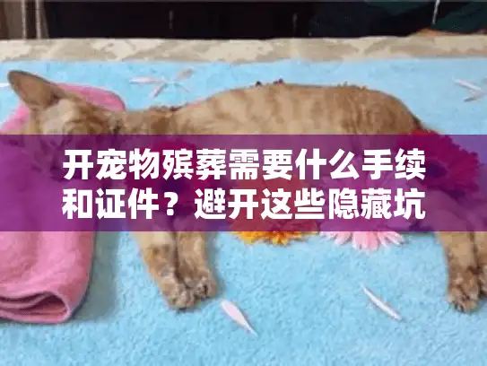 开宠物殡葬需要什么手续和证件？避开这些隐藏坑点