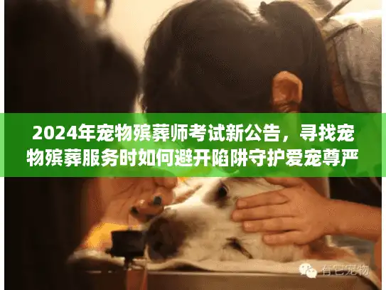 2024年宠物殡葬师考试新公告，寻找宠物殡葬服务时如何避开陷阱守护爱宠尊严？