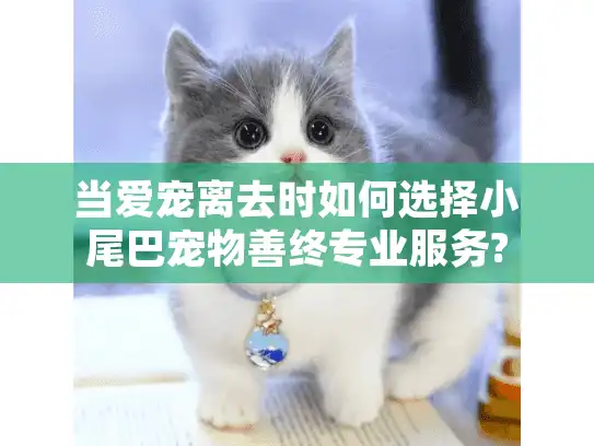 当爱宠离去时如何选择小尾巴宠物善终专业服务?