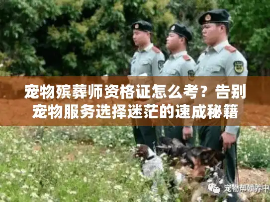 宠物殡葬师资格证怎么考？告别宠物服务选择迷茫的速成秘籍