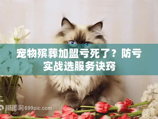 宠物殡葬加盟亏死了？防亏实战选服务诀窍