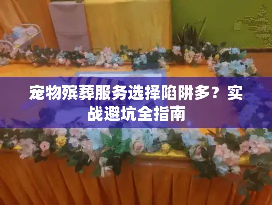宠物殡葬服务选择陷阱多？实战避坑全指南