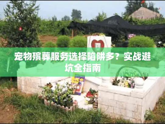 宠物殡葬服务选择陷阱多？实战避坑全指南
