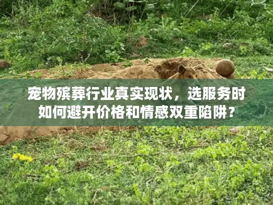 宠物殡葬行业真实现状，选服务时如何避开价格和情感双重陷阱？