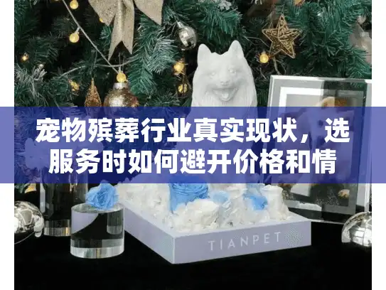 宠物殡葬行业真实现状，选服务时如何避开价格和情感双重陷阱？