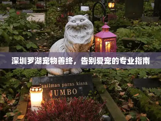 深圳罗湖宠物善终，告别爱宠的专业指南