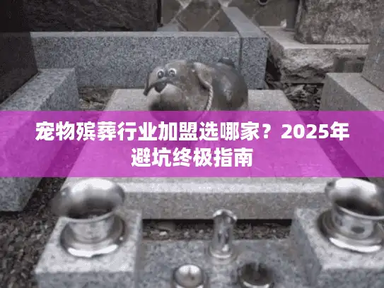 宠物殡葬行业加盟选哪家？2025年避坑终极指南