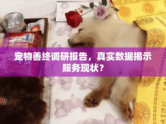 宠物善终调研报告，真实数据揭示服务现状？