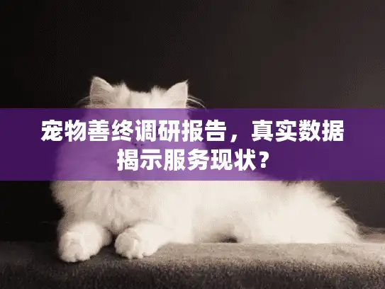 宠物善终调研报告，真实数据揭示服务现状？