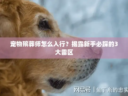 宠物殡葬师怎么入行？揭露新手必踩的3大雷区